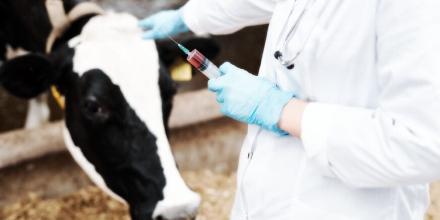 beef-company-ceo-stands-up-to-big-pharma:-“i’ll-shut-down-the-company-before-we-ship-a-single-bag-with-mrna-injected-meat”-|-the-gateway-pundit-|-by-promoted-post