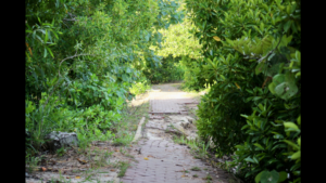 fight-erupts-when-city-takes-private-property-for-‘park’-|-the-gateway-pundit-|-by-guest-contributor