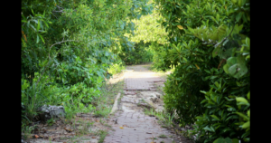 fight-erupts-when-city-takes-private-property-for-‘park’