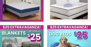 new-deals-now-at-the-gateway-pundit-discounts-page-at-mypillow-–-including-the-$25-extravaganza!