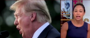 msnbc-analyst-suggests-black-voters-shifting-to-trump-because-of-‘disinformation’