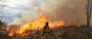 ‘go-now’:-thousands-forced-to-evacuate-due-to-‘extreme’-wildfires-in-new-mexico