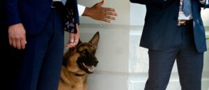 secret-service-destroyed-video-of-biden’s-dog-attacking-agent:-report