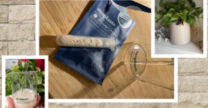 neoplants’-neo-px-plant-air-purifier-isn’t-worth-the-high-cost