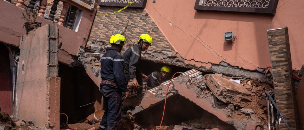 fact-check:-photos-show-dog-and-cat-hugging-after-turkey-earthquake,-not-morocco-earthquake