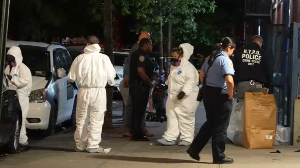 one-year-old-baby-dies-from-suspected-opioid-exposure-at-nyc-daycare-center-|-the-gateway-pundit-|-by-david-greyson