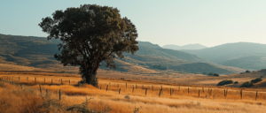 ‘cannot-be-trusted’:-father-leaves-daughter-tied-to-tree-for-three-days,-police-say