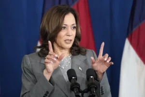 harris-narrows-down-vp-front-runners-with-solo-meetings-–-washington-examiner