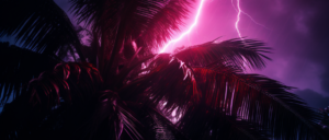 hurricane-debby-leaves-at-least-4-dead-as-it-weakens-to-tropical-storm