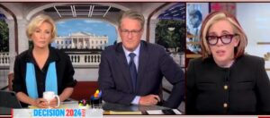 msnbc-guest-really-wants-you-to-know-that-tim-walz’s-life-is-a-‘rural-american-success-story’