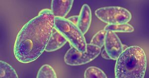 how-do-you-get-drugs-to-the-brain?-maybe-try-a-parasite