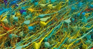 this-is-the-most-detailed-map-of-brain-connections-ever-made