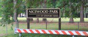 report:-snake-slithers-into-substation,-triggers-power-outage-for-thousands