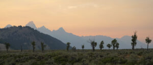 hiker-loses-consciousness,-dies-at-isle-royale-national-park