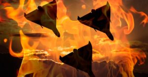 the-pentagon-is-planning-a-drone-‘hellscape’-to-defend-taiwan