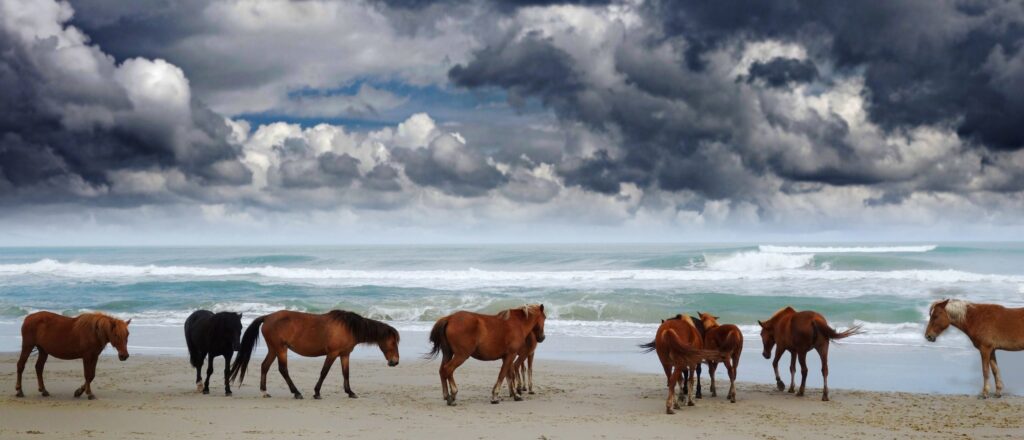 a-‘homebrew’-tropical-threat-is-heading-for-the-east-coast