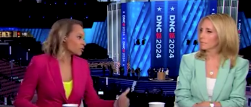 ‘she-is-a-black-woman’:-cnn-analyst-says-harris-would-be-‘underdog’-even-if-she-surged-in-polls