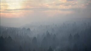 nevada-national-guard-troops-certified-for-wildland-firefighting-–-washington-examiner