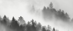 video-captures-rare-type-of-fog