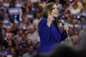 democrats-split-on-whether-harris-can-build-a-southern-‘blue-wall’-–-washington-examiner