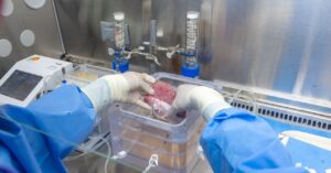 the-next-frontier-for-mrna-could-be-healing-damaged-organs