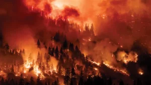 risky-business:-personal-insurance-could-be-a-sleeper-issue-in-the-election-–-washington-examiner