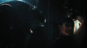 alien-litigates-the-pandemic-–-washington-examiner