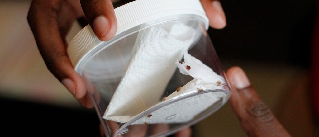 ‘underneath-…-was-an-egg-sack’:-couple-wakes-up-covered-in-bug-bites-after-trip-to-movie-theater