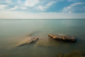 the-tern-and-the-screw:-how-a-$350-wooden-box-revived-the-common-tern-–-washington-examiner