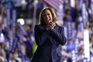 harris-needs-no-trump-nickname,-just-her-job-title-–-washington-examiner