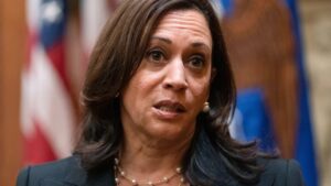 kamala’s-election-contributions-in-kind-from-other-nations-|-the-gateway-pundit-|-by-john-mills