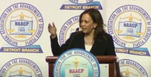 flashback:-commie-kamala-harris-promises-to-use-doj-to-“hold-social-media-platforms-responsible”-for-“misinformation”-as-defined-by-those-in-power-(video)-|-the-gateway-pundit-|-by-jim-hoft