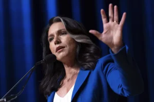 dick-cheney’s-endorsement-makes-2024-choice-‘very-clear’:-tulsi-gabbard-–-washington-examiner