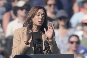 harris-regains-support-from-black-voters-but-lags-behind-2020-margins:-poll-–-washington-examiner