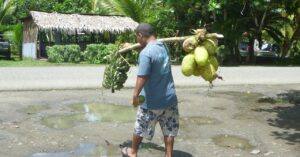 breadfruit-is-here-to-save-the-world