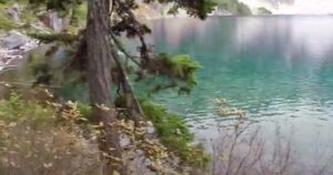 billionaire-investor-found-dead-in-washington-lake-|-the-gateway-pundit-|-by-anthony-scott