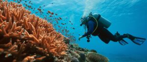 report:-young-couple-dies-while-snorkeling-on-babymoon