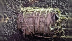 second-suspect-arrested-over-ieds-discovered-in-maui,-hawaii-|-the-gateway-pundit-|-by-anthony-scott