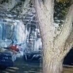 suspect-runs-over-his-own-mother-while-trying-to-flee-from-police-(video)-|-the-gateway-pundit-|-by-david-greyson