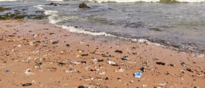 report:-syringes,-tampons-and-other-waste-wash-up-on-eastern-seaboard