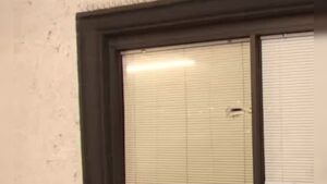 gunshots-fired-at-demcoratic-party-office-in-arizona-|-the-gateway-pundit-|-by-anthony-scott