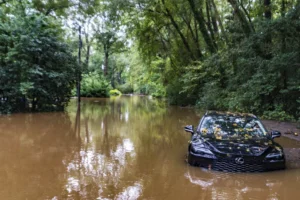 fema-warns-of-‘complicated’-recovery-process-from-helene’s-water-damage-–-washington-examiner