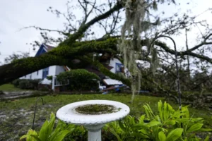 trump-to-visit-georgia-after-helene-while-biden-waits-for-fema-–-washington-examiner