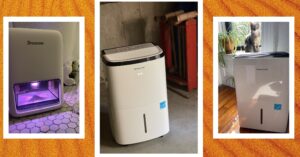 the-best-dehumidifiers