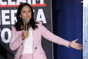 tulsi-gabbard-compares-biden-response-on-hurricane-helene-to-maui-wildfires-–-washington-examiner