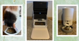 the-best-automatic-cat-feeders-for-when-you’re-away