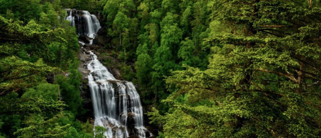 sightseer-dies-after-falling-from-waterfall-overlook-on-the-blue-ridge-parkway