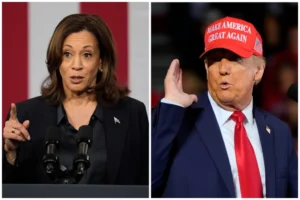 harris-leaking-support-in-michigan-and-wisconsin:-poll-–-washington-examiner