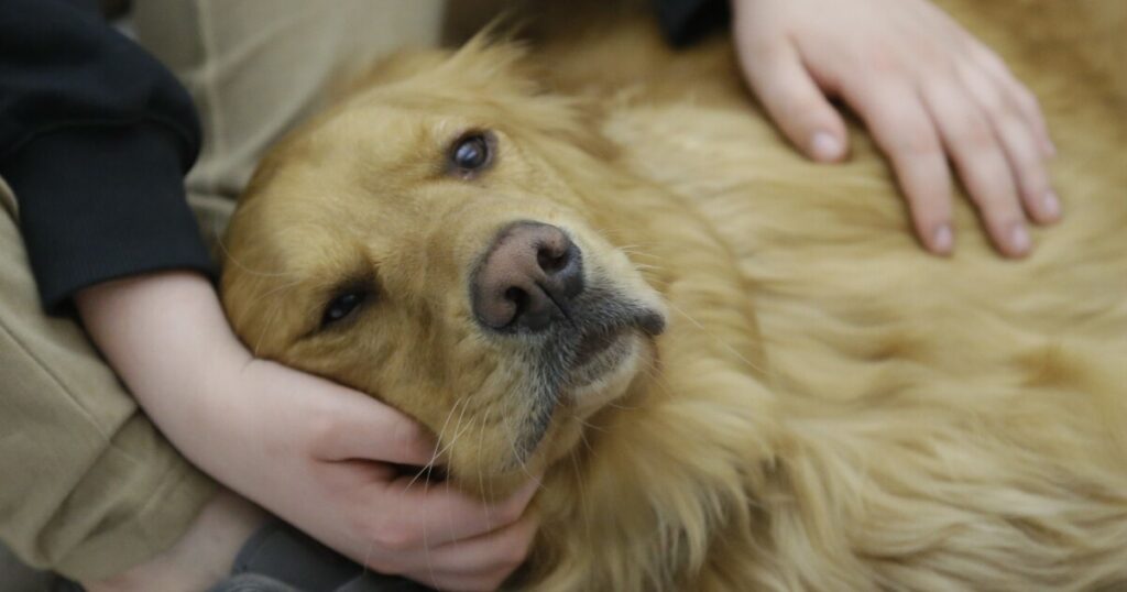 ohio-lawmakers-think-allowing-pets-could-help-housing-issues