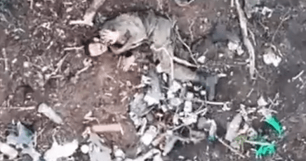 *graphic-warning*-drone-footage-allegedly-shows-30th-mechanized-brigade-in-ukraine-dropping-grenades-on-surrendering-russian-soldier-|-the-gateway-pundit-|-by-brian-lupo